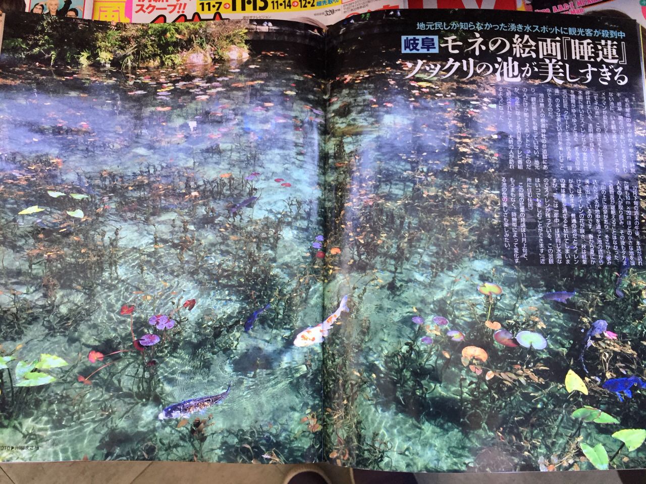 モネの池の雑誌