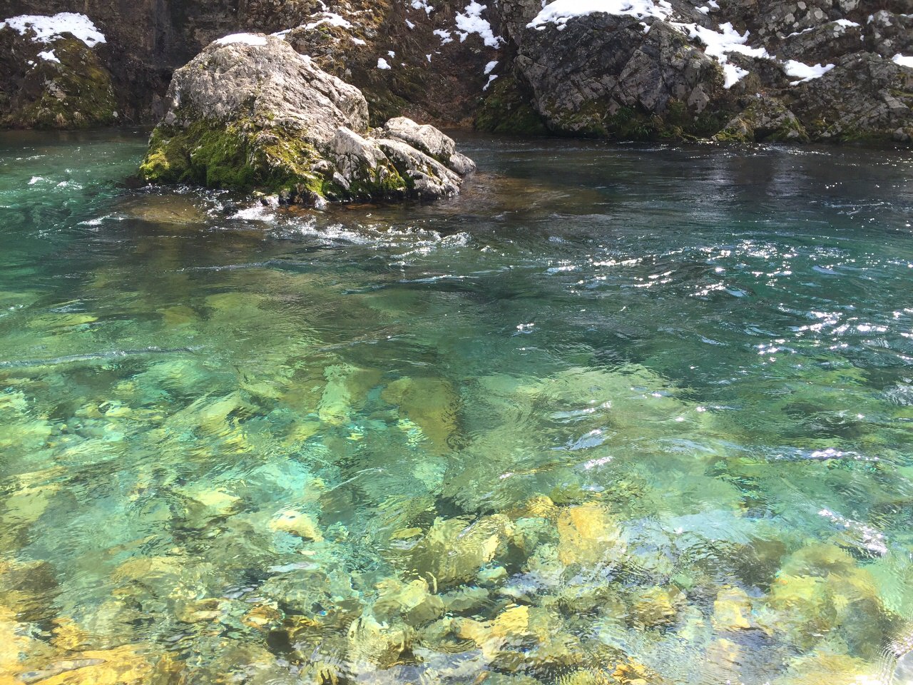 水が綺麗な板取川